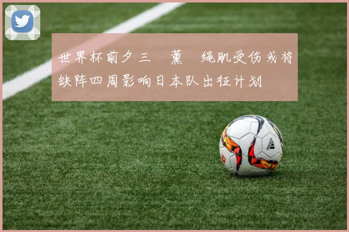 世界杯前夕三笘薰腘绳肌受伤或将缺阵四周影响日本队出征计划